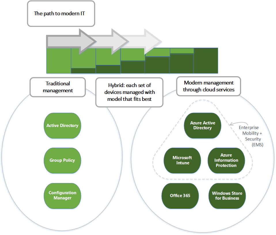 Effizientes Endpoint-Management durch die Integration von SoftwareCentral und Microsoft Intune