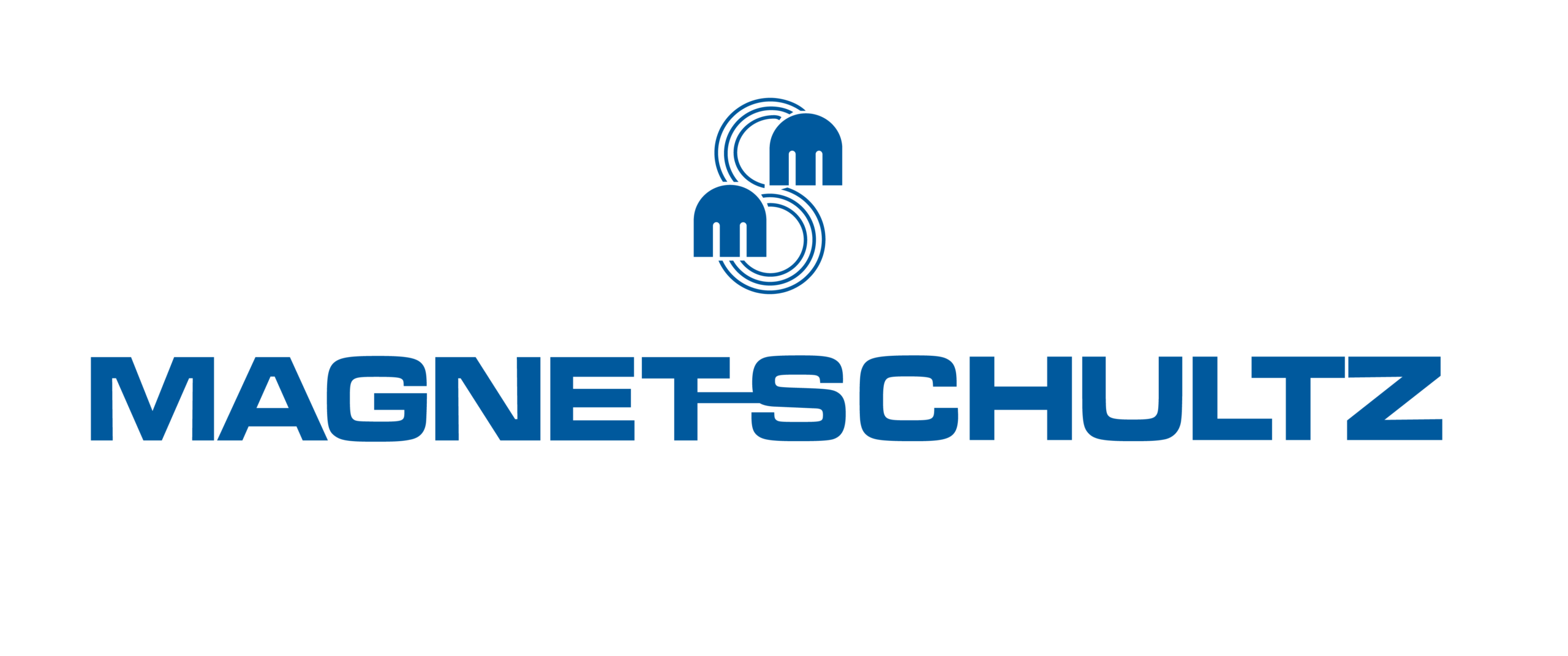 Server Bridge 9 Magnet Schultz logo 1 scaled